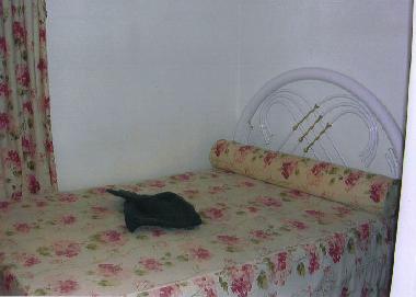 Holiday House in Luz (Algarve) or holiday homes and vacation rentals