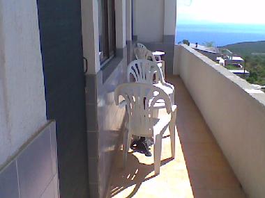 Holiday Apartment in Krimovica bei Budva (Montenegro) or holiday homes and vacation rentals