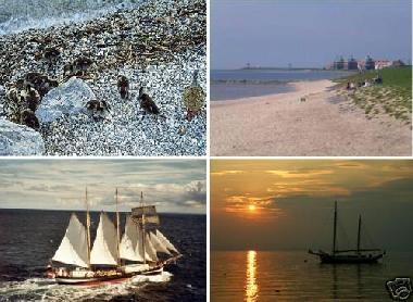 Chalet in Warns (Friesland) or holiday homes and vacation rentals