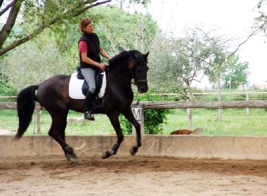 Holiday House in Montarnaud (H�rault) or holiday homes and vacation rentals