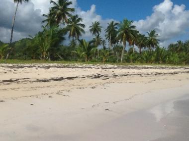 Playa Rincon, 20 minutes