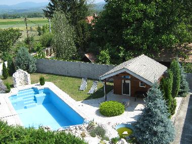 Garden with pool and sauna