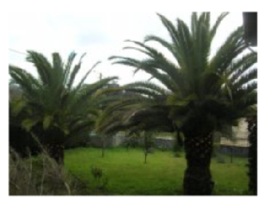 Villa in Cuide Vilaverde (Norte) or holiday homes and vacation rentals