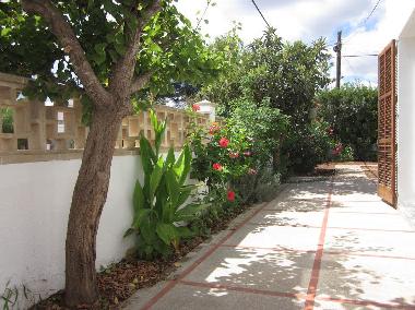 Holiday House in Sa Rapita (Mallorca) or holiday homes and vacation rentals