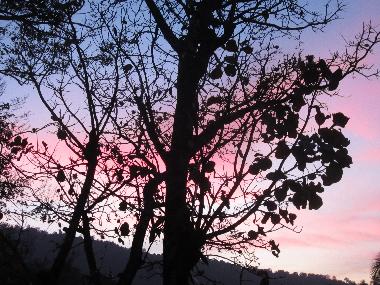 Evening colours from the balcony