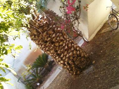 Holiday Apartment in ISPICA (Siracusa) or holiday homes and vacation rentals