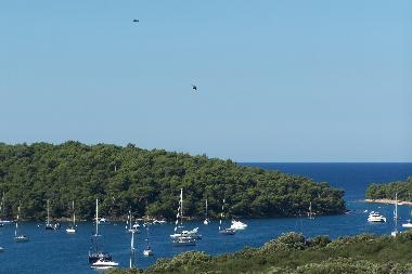 Bed and Breakfast in Pula (Istarska) or holiday homes and vacation rentals
