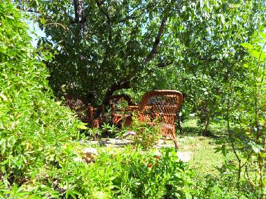 Holiday Apartment in Rab (Primorsko-Goranska) or holiday homes and vacation rentals