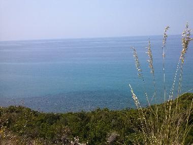 the view from the house