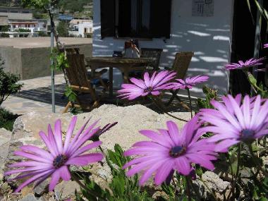 Holiday House in Stavrohori (Lasithi) or holiday homes and vacation rentals