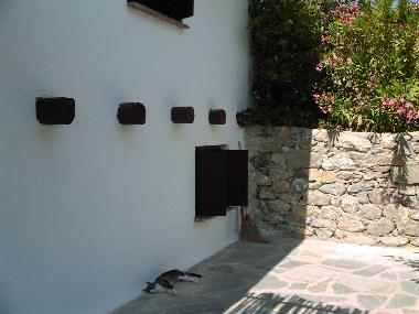 Holiday House in Stavrohori (Lasithi) or holiday homes and vacation rentals