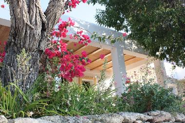 Villa in Cala Llonga (Formentera) or holiday homes and vacation rentals
