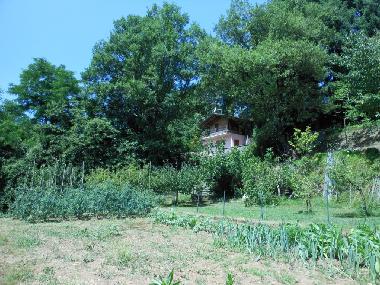 Holiday Apartment in S.Cassiano di Controni (Lucca) or holiday homes and vacation rentals