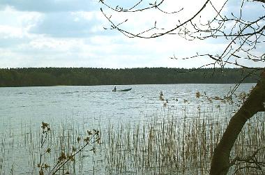 Boat in Rheinsberg (Ostprignitz-Ruppin) or holiday homes and vacation rentals