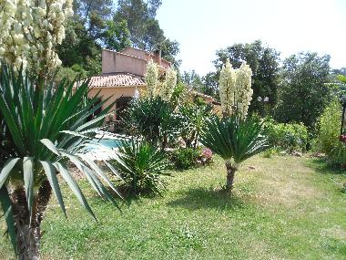 Holiday Apartment in trans en provence (Var) or holiday homes and vacation rentals