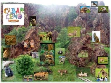 Holiday Apartment in OREA (Cantabria) or holiday homes and vacation rentals