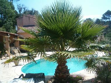 Holiday Apartment in trans en provence (Var) or holiday homes and vacation rentals