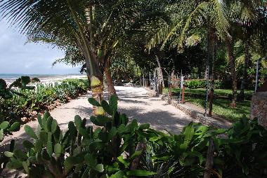 In front of our Palmpark, the private beach