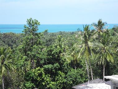 Villa in Boh Phut (Surat Thani) or holiday homes and vacation rentals