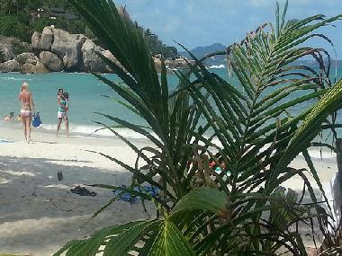Villa in Boh Phut (Surat Thani) or holiday homes and vacation rentals