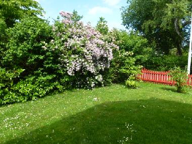 Holiday House in Zingst (Fischland-Dar�-Zingst) or holiday homes and vacation rentals