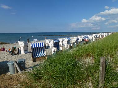 Holiday House in Zingst (Fischland-Dar�-Zingst) or holiday homes and vacation rentals