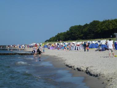Holiday House in Zingst (Fischland-Dar�-Zingst) or holiday homes and vacation rentals