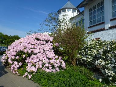 Holiday House in Zingst (Fischland-Dar�-Zingst) or holiday homes and vacation rentals