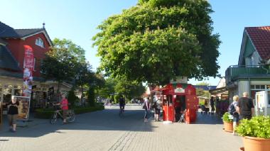 Holiday House in Zingst (Fischland-Dar�-Zingst) or holiday homes and vacation rentals