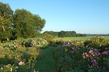 Holiday Apartment in Gro Siemen (Mecklenburgische Ostseekste) or holiday homes and vacation rentals