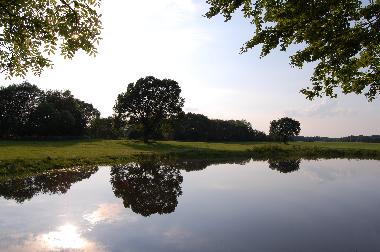 Holiday Apartment in Gro Siemen (Mecklenburgische Ostseekste) or holiday homes and vacation rentals