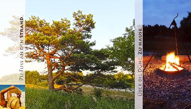 Holiday House in Ostseebad Prerow (Fischland-Dar�-Zingst) or holiday homes and vacation rentals