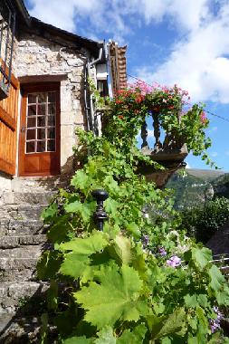 Holiday House in Sainte Enimie (Lozre) or holiday homes and vacation rentals