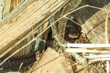 Holiday House in Uherce Mineralne (Podkarpackie) or holiday homes and vacation rentals