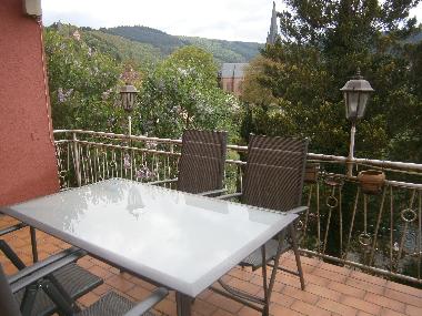 Holiday Apartment in Hirschhorn Neckar (Odenwald-Bergstrae-Neckartal) or holiday homes and vacation rentals