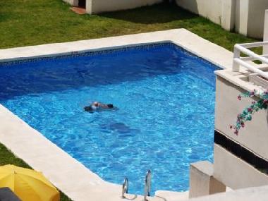Holiday Apartment in torrox costa (M�laga) or holiday homes and vacation rentals