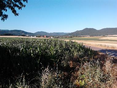 Holiday Apartment in Langelsheim (Harz) or holiday homes and vacation rentals