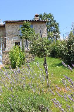 Holiday House in Quercegrossa (Siena) or holiday homes and vacation rentals