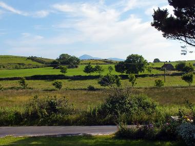 View from the Dining Room