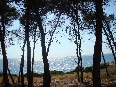 Villa in Leporano Marina (Taranto) or holiday homes and vacation rentals