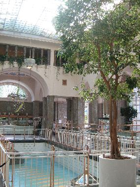 Holiday Apartment in Bad kissingen (Lower Franconia) or holiday homes and vacation rentals