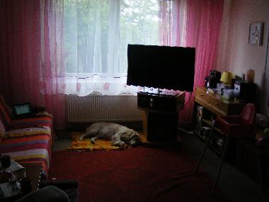 Holiday Apartment in Insko (Zachodniopomorskie) or holiday homes and vacation rentals