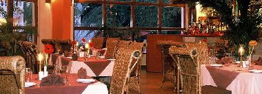 Hotel in North Goa (Goa) or holiday homes and vacation rentals