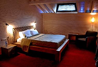 Villa in velingrad (Pazardzhik) or holiday homes and vacation rentals