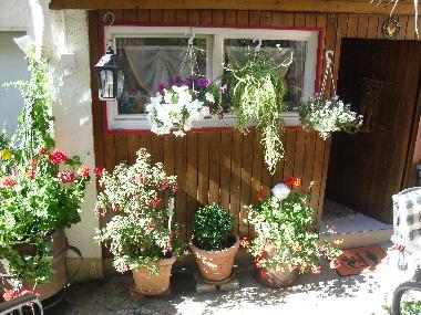 Holiday Apartment in Tengen (Lake of Constance) or holiday homes and vacation rentals