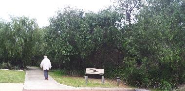 Easy walks through parkland