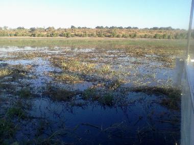 Thamalakane River