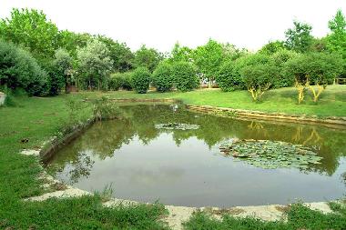 Holiday House in Castiglione del Lago (Perugia) or holiday homes and vacation rentals