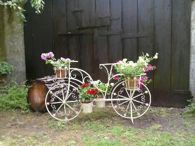 Holiday House in Castiglione del Lago (Perugia) or holiday homes and vacation rentals