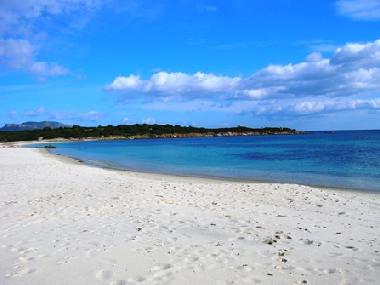 Holiday House in Olbia (Olbia-Tempio) or holiday homes and vacation rentals